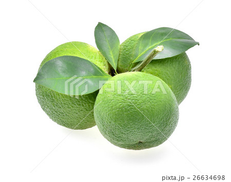 sweet orange(Citrus medica Linn) on white  26634698