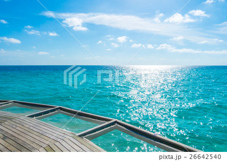 Vacation net seat in tropical Maldives island and beauty of the sea with the coral reefs . 26642540