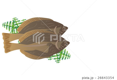 カレイ 26643354