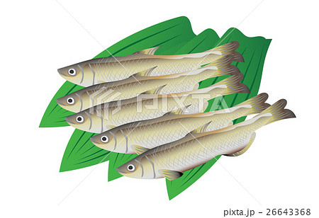 シシャモ 26643368