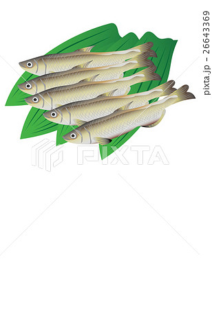 シシャモ 26643369