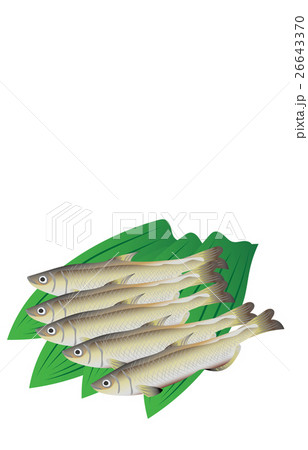 シシャモ 26643370