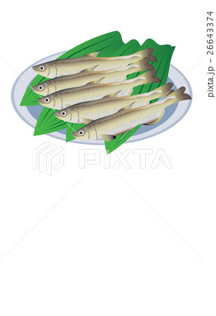 シシャモ 26643374