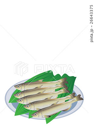 シシャモ 26643375