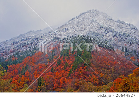 紅葉に初雪　只見町 26644827