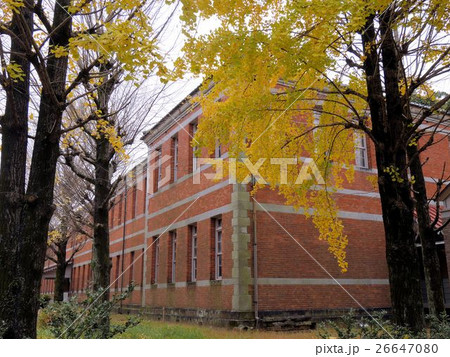 秋の五高記念館(熊本地震後) 秋の五高記念館(熊本地震後) 26647080