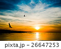 Bird flying past the rising sun. Dawn on the sea.  26647253