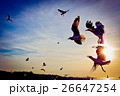 Bird flying past the rising sun. Dawn on the sea.  26647254
