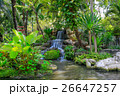 The landscape photo  Waterfall 26647257