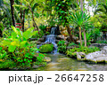 The landscape photo  Waterfall 26647258