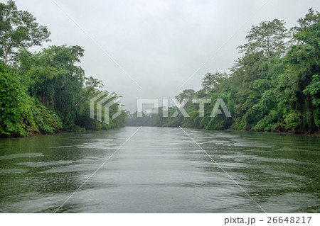 Green jungle river moist air in sai yok 26648217