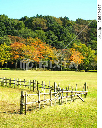 柵のある草原と林風景 26649447