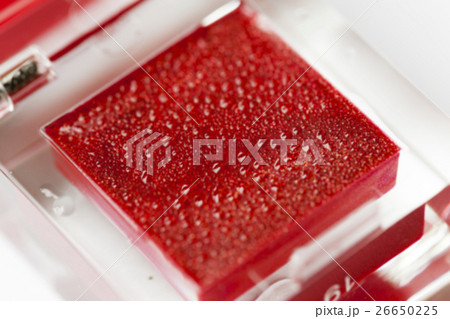 red women's cosmetics red women's cosmetics 26650225