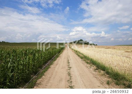road in a field road in a field 26650932