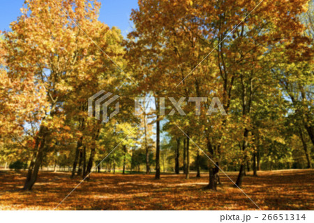 autumn in the park autumn in the park 26651314