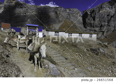 Thorung High Camp Annapurna Circuit, Himalaya Thorung High Camp Annapurna Circuit, Himalaya 26651568
