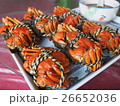 上海蟹 上海ガニ 上海カニ 26652036