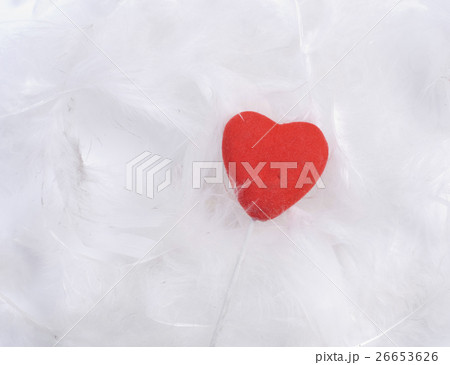 Feathers and heart Feathers and heart 26653626