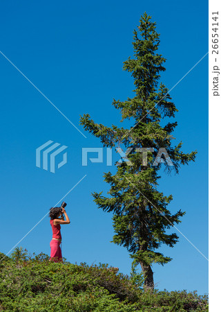 In the mountains with blue sky, a girl photographing a tree at t 26654141