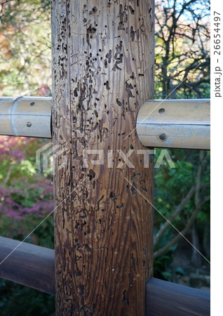 京都東山「東福寺」：通天台の柱の虫による食害跡 26654497