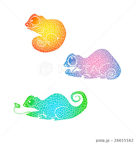hand Drawn doodle chameleon. hand Drawn doodle chameleon. 26655562