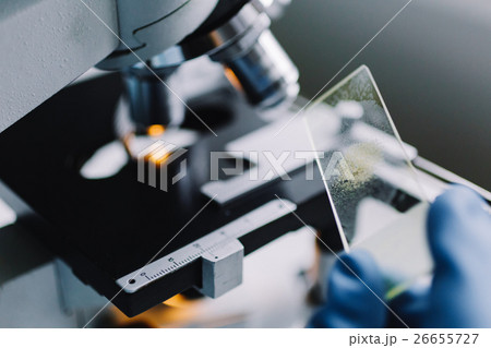 Crop hands holding glass for microscope 26655727