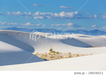 White sands 26656021