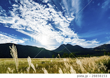 やまなみハイウエイ 長者原 26656153