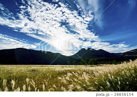 やまなみハイウエイ 長者原 26656154