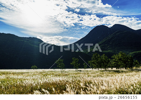 やまなみハイウエイ 長者原 26656155