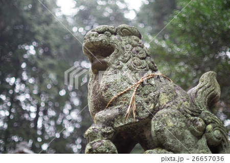 狛犬 26657036