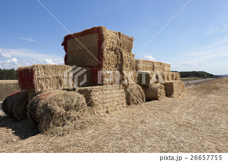 Tractor straw, close-up Tractor straw, close-up 26657755