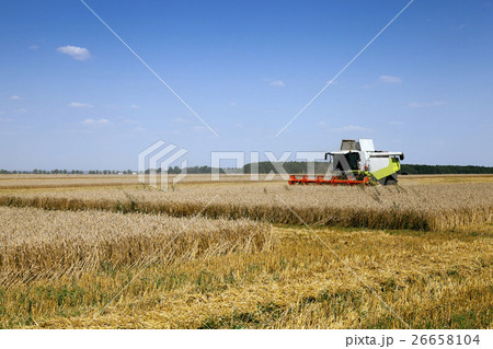 Harvester in the field  26658104