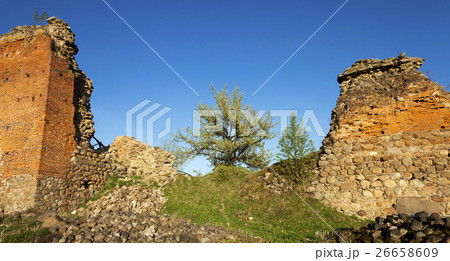 ruins of Krevo, Belarus. ruins of Krevo, Belarus. 26658609