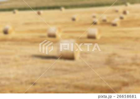 agriculture, not in focus agriculture, not in focus 26658681