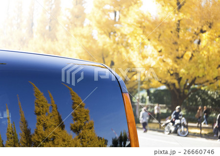 窓のなかの東京神宮外苑銀杏並木 窓のなかの東京神宮外苑銀杏並木 26660746