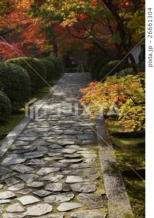 参道 一休寺 参道 一休寺 26661304