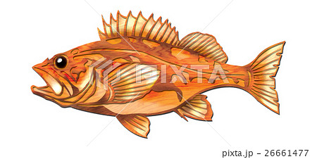 魚イラストのイラスト素材
