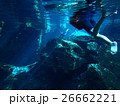 メキシコ　セノーテ 26662221