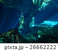 メキシコ　セノーテ 26662222
