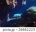 メキシコ　セノーテ 26662223