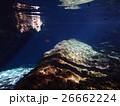 メキシコ　セノーテ 26662224