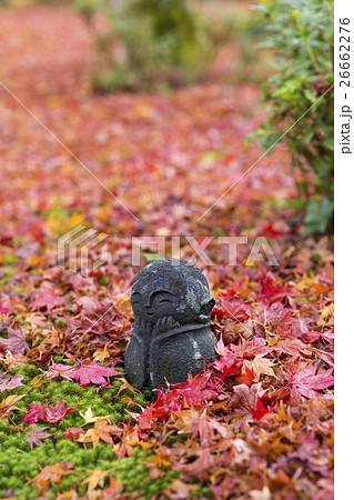 京都府京都市左京区圓光寺の紅葉の落ち葉に埋もれたお地蔵様 26662276