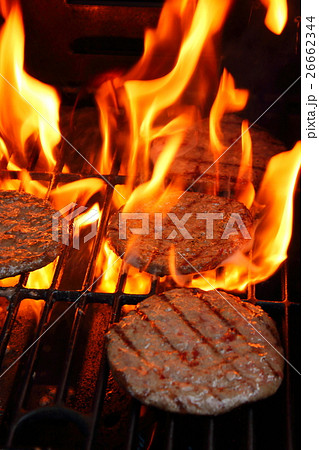 ハンバーグ グリル ハンバーグ グリル 26662344