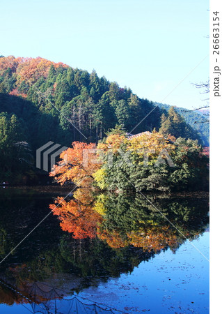 秋の鎌北湖（紅葉） 26663154