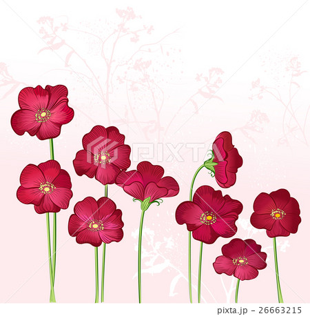 Red Growings Wild Flowers Red Growings Wild Flowers 26663215