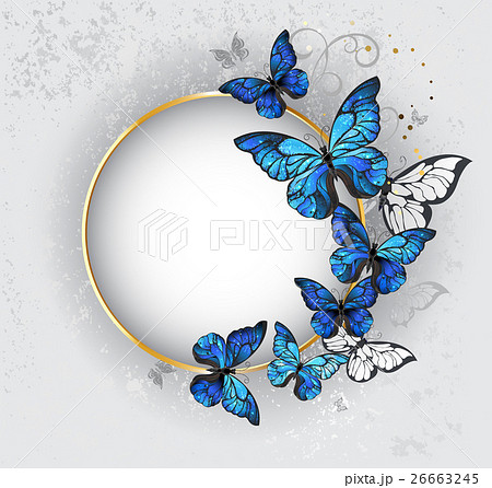 Round Banner With Blue Butterflies Morpho Stock Illustration