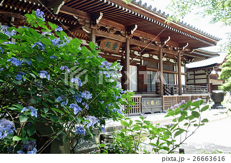 高幡不動尊(大日堂) 高幡不動尊(大日堂) 26663616