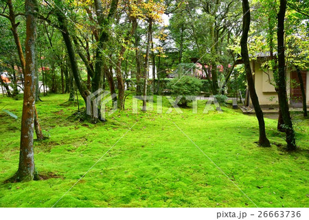 奈良・秋篠寺境内 奈良・秋篠寺境内 26663736