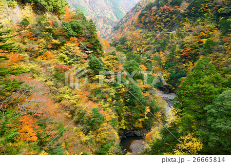 【静岡県】紅葉の寸又峡散策 【静岡県】紅葉の寸又峡散策 26665814